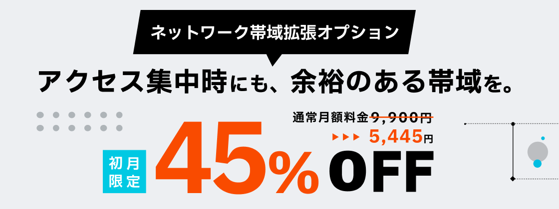 ネットワーク帯域拡張オプション 初月45%OFF